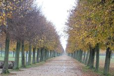 Xanten - Strasse.JPG